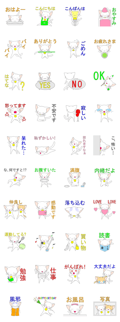 White cat of big ears White cat of big ears