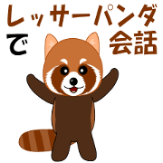 Conversation with lesser panda
