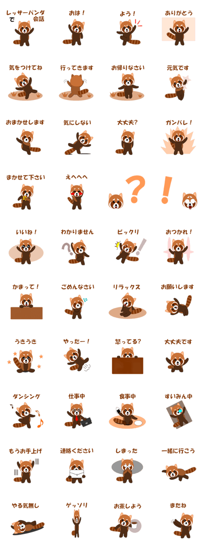 Conversation with lesser panda