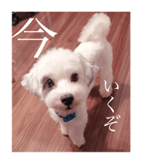 怖い Lineクリエイターズスタンプまとめ Stamplist