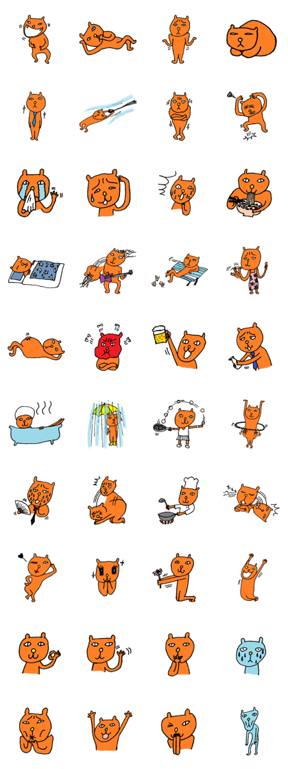 Orange crazy cat