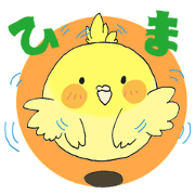 Perfectly round of true parrots Perfectly round of true parrots