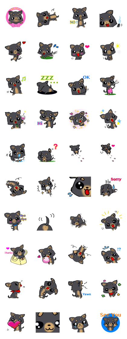 Black puppy Black puppy