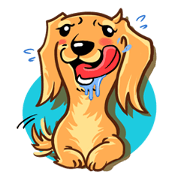 sweet Not sausage dog sweet Not sausage dog