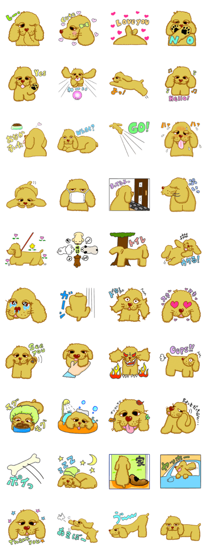 Cocker dog Cocker dog