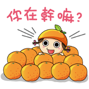 We are Citrus Family We are Citrus Family