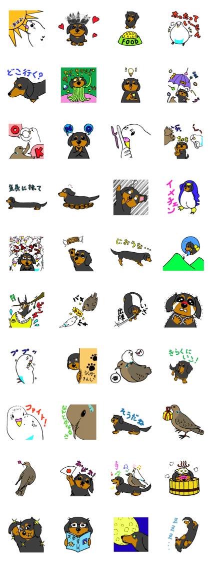 Dachshund Terry and two birds. Dachshund Terry and two birds.