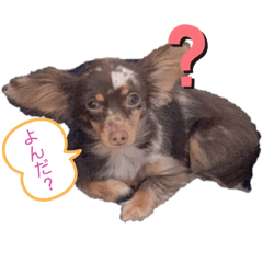 suny&nuts_20200324203300