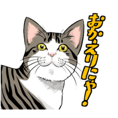 キジトラぽちゃ猫スタンプ2