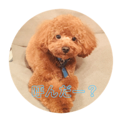 ChocochocoSTAMP