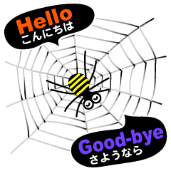 The Spiders "Hello Good-bye"(E/J)