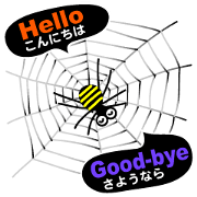 The Spiders "Hello Good-bye"(E/J)