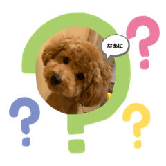 michiko_20200324214502