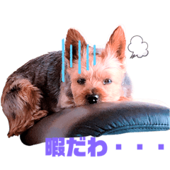 WASABI_20200324223157