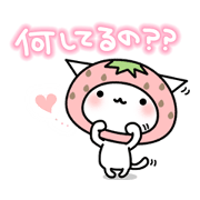 4th cat of hand 4th cat of hand