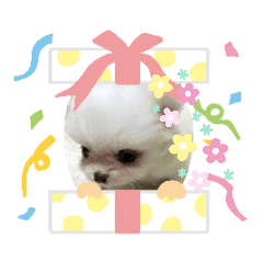 mitiko_20200324225219
