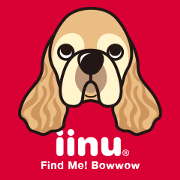 iinu - American Cocker Spaniel