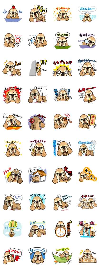 iinu - American Cocker Spaniel