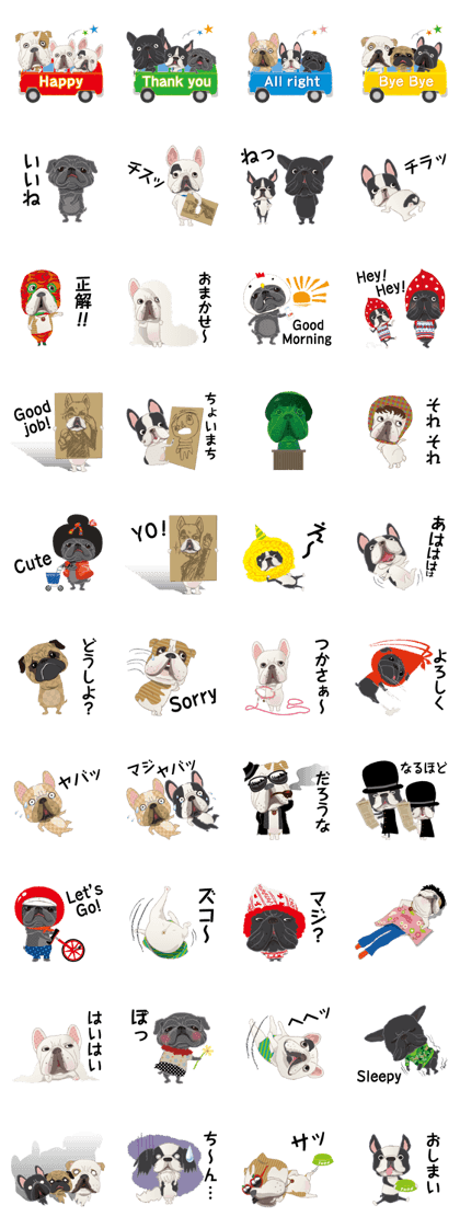 flat nose dog flat nose dog