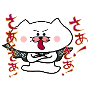 Furoshiki nyanko Matsukichi 8