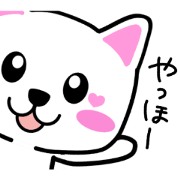 heartful cat stickers