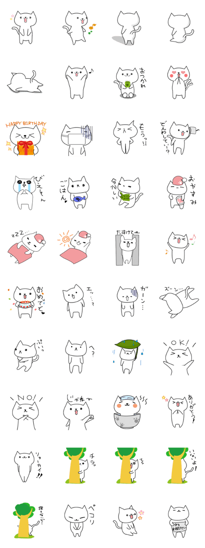 One day of a white cat