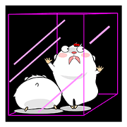 Cute funny hamster (Practical Tips 2)