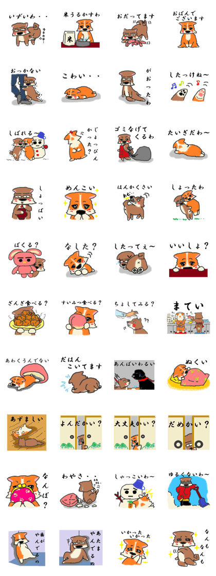 Shiba Inu and Corgi in Hokkaido