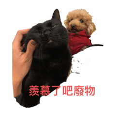 鬆鬆嚕嚕鄙視你