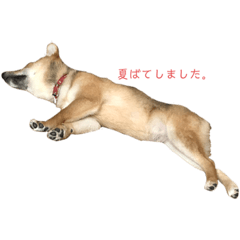 HANA_20200325004401
