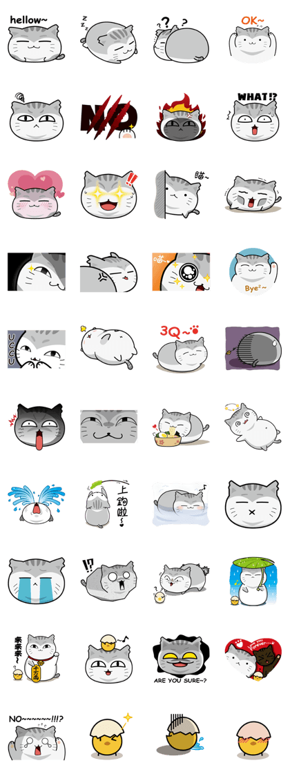 VV's daily life VV's daily life