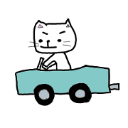 picture of the cat picture of the cat