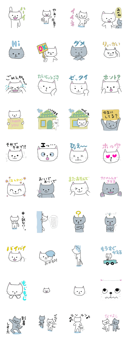 picture of the cat picture of the cat