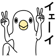 A white bird 2 A white bird 2