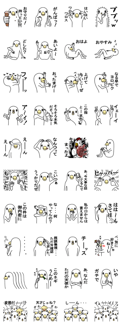 A white bird 2 A white bird 2