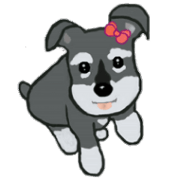 I love Shunatchi second I love Shunatchi second