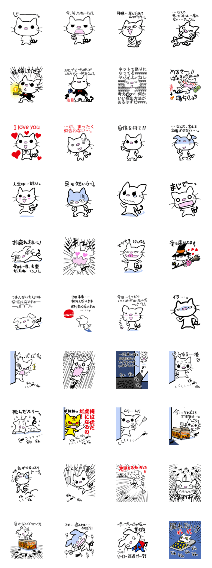 White pig cat White pig cat