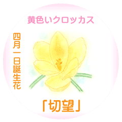 April Birth Flower Line Stickers Line Store April Birth Flower Line Stickers Line Store