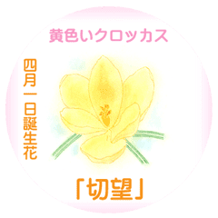 April Birth Flower Line Stickers Line Store