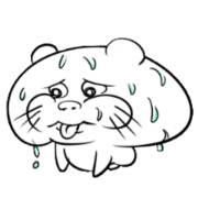 Child raccoon dog Child raccoon dog