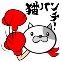 mask boxer cat punch!