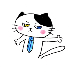 Odd-kun of cat