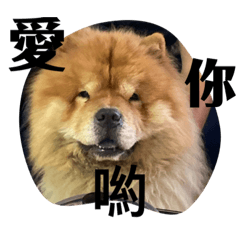 傻多