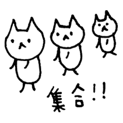 Cat`s P-chan