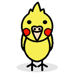 Pikachun of the cockateel