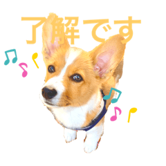 yukari_20200324232138