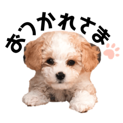 KANAE_20200325134251