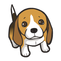 Hi! Beagle