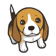 Hi! Beagle