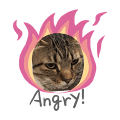 Thank you words from cat chatmignon 2